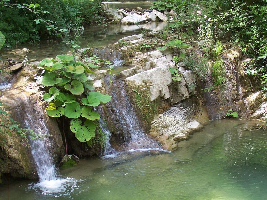 Agriturismo La Motta Villa Frassineta Kültér fotó