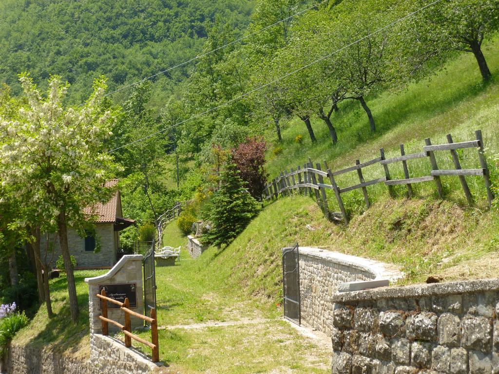 Agriturismo La Motta Villa Frassineta Kültér fotó